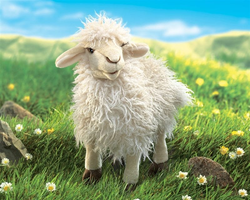 Картинки овечки (100 фото) #48