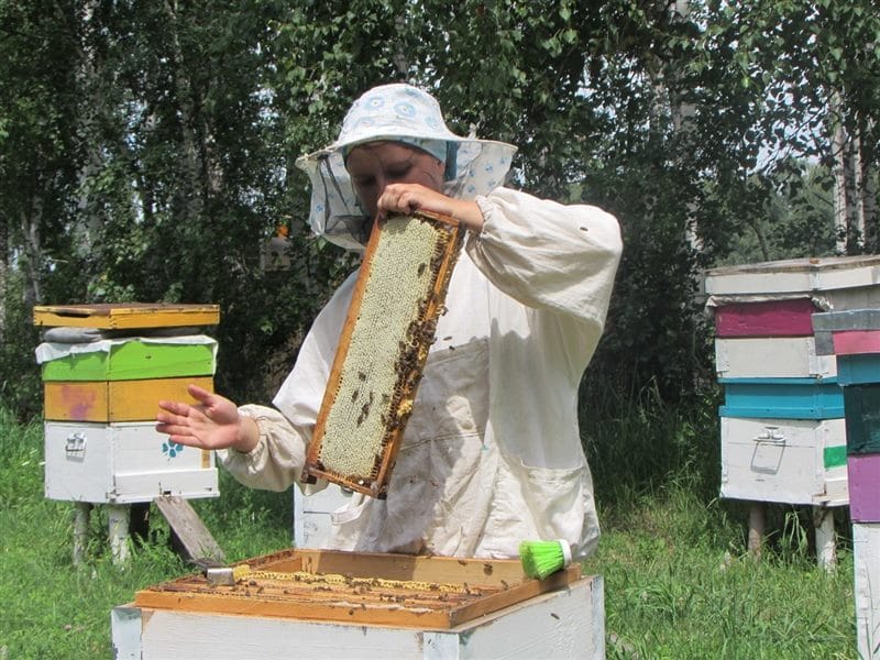 Картинки пчеловод (20 фото) #6