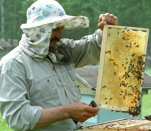 Картинки пчеловод (20 фото) #11