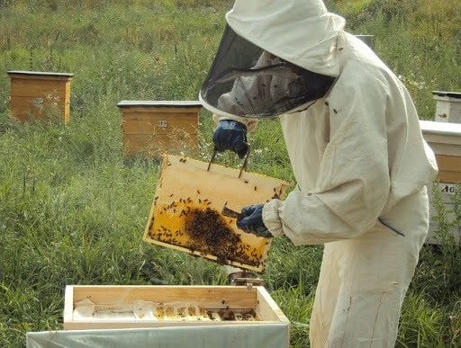 Картинки пчеловод (20 фото) #5