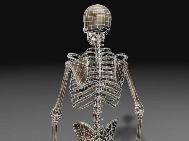 Картинки скелет человека (100 фото) #86