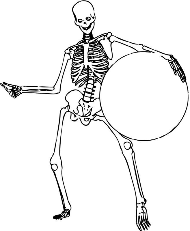 Картинки скелет человека (100 фото) #77