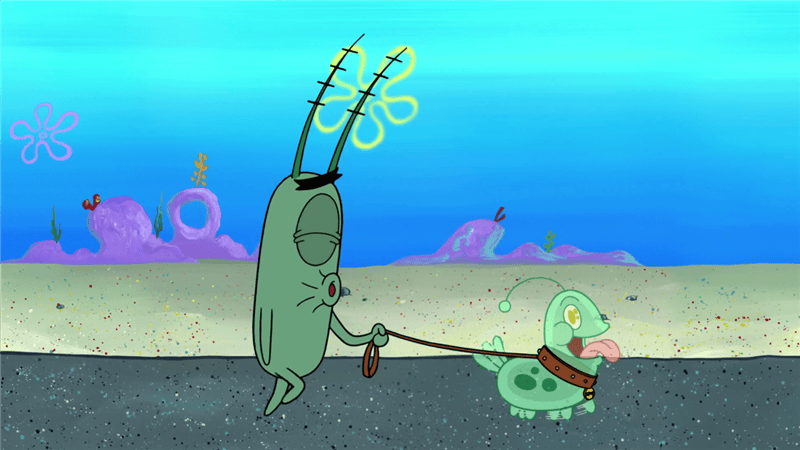 Картинки планктона (80 фото) #69