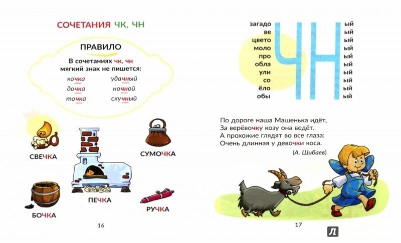 Картинки правила по русскому языку (50 фото) #25
