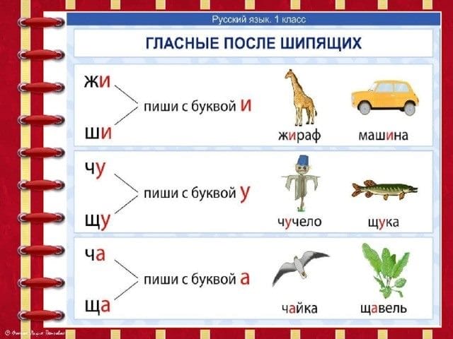 Картинки правила по русскому языку (50 фото) #9