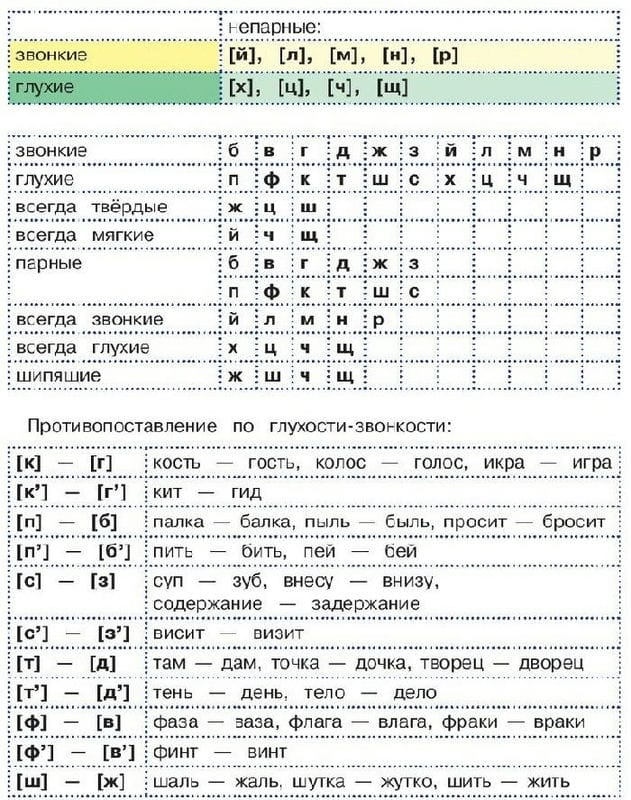 Картинки правила по русскому языку (50 фото) #18