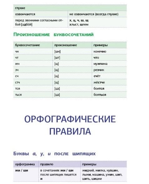 Картинки правила по русскому языку (50 фото) #50