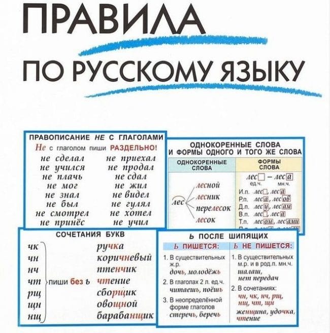 Картинки правила по русскому языку (50 фото) #36
