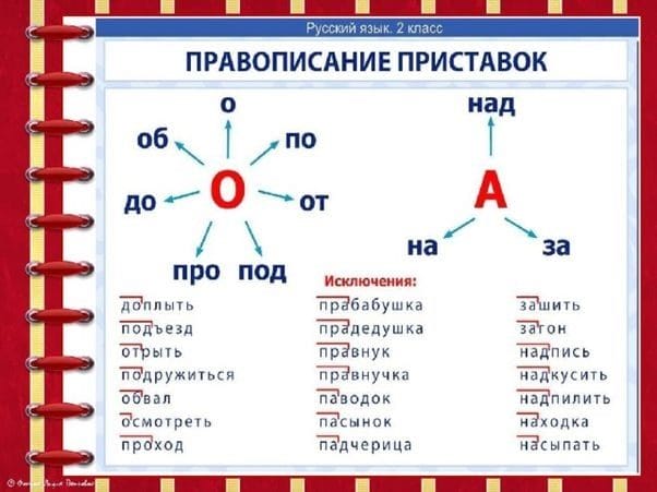 Картинки правила по русскому языку (50 фото) #45