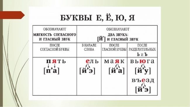 Картинки правила по русскому языку (50 фото) #49