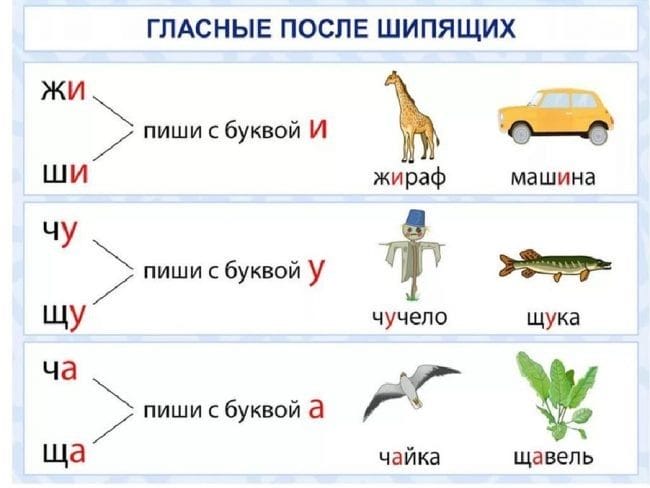 Картинки правила по русскому языку (50 фото) #44
