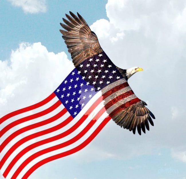 Картинки флаг США (50 фото) #37