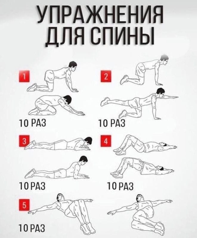 Упражнения для спины - красивые картинки (50 фото) #43