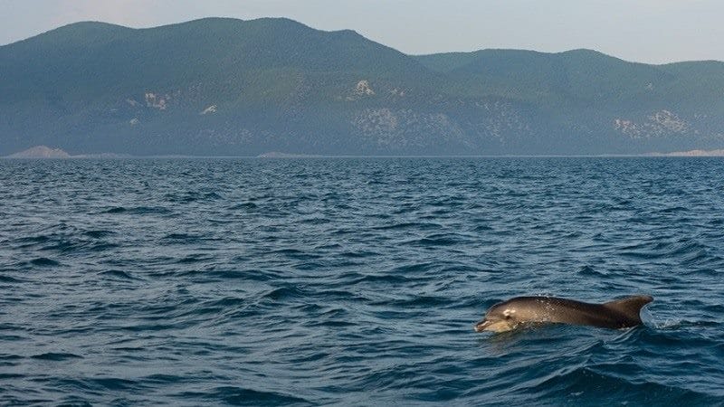 Черное море - красивые картинки (100 фото) #16