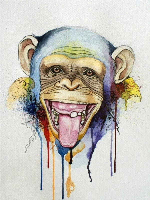 Шимпанзе - красивые картинки (100 фото) #45