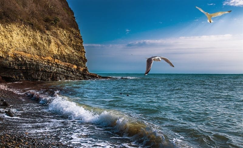 Черное море - красивые картинки (100 фото) #41