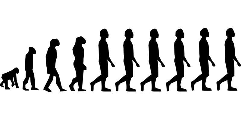Эволюция человека - красивые картинки (35 фото) #5