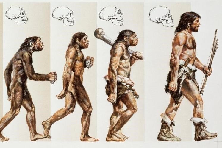 Эволюция человека - красивые картинки (35 фото) #20