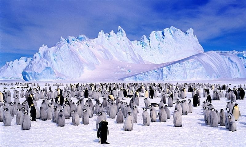 Южный полюс - красивые картинки (35 фото) #3
