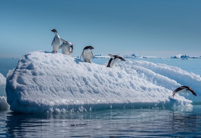 Южный полюс - красивые картинки (35 фото) #23