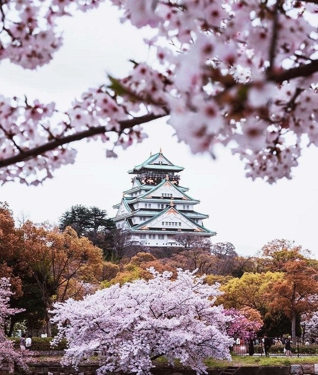 Япония - красивые картинки (100 фото) #3
