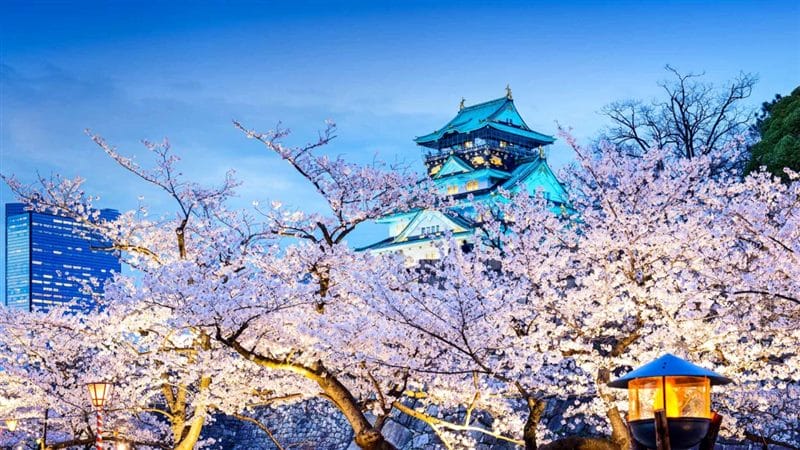 Япония - красивые картинки (100 фото) #53