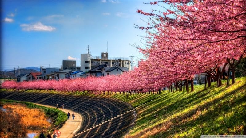 Япония - красивые картинки (100 фото) #83