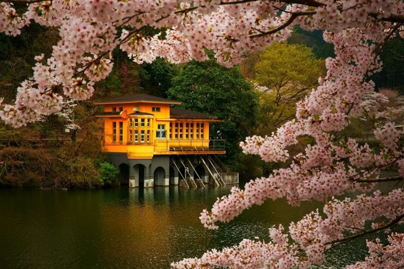 Япония - красивые картинки (100 фото) #73