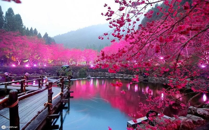 Япония - красивые картинки (100 фото) #89