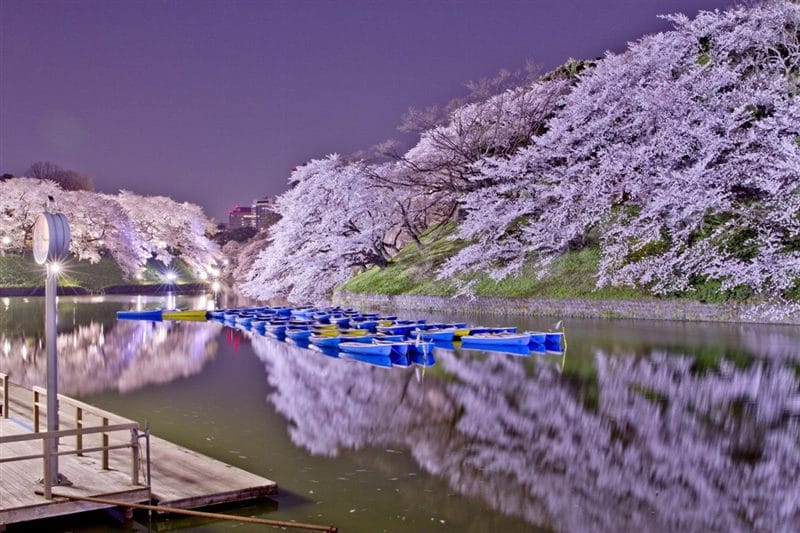 Япония - красивые картинки (100 фото) #77
