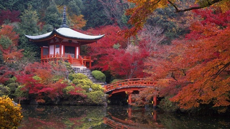 Япония - красивые картинки (100 фото) #58