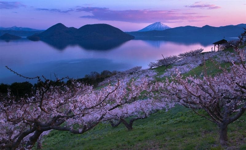 Япония - красивые картинки (100 фото) #94