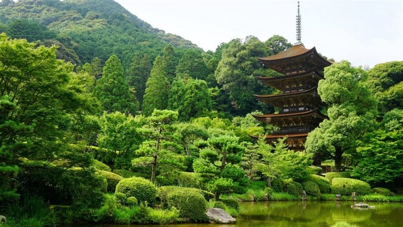Япония - красивые картинки (100 фото) #78