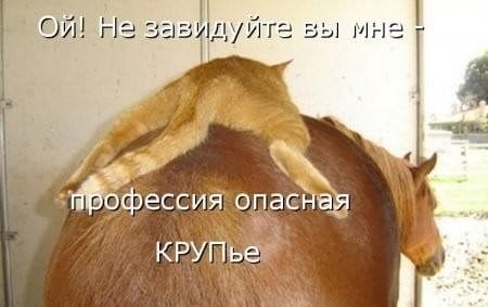 Не завидуйте - красивые картинки (35 фото) #16