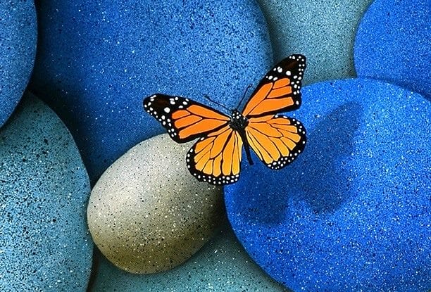 Картинки бабочек на аву (100 фото) #18
