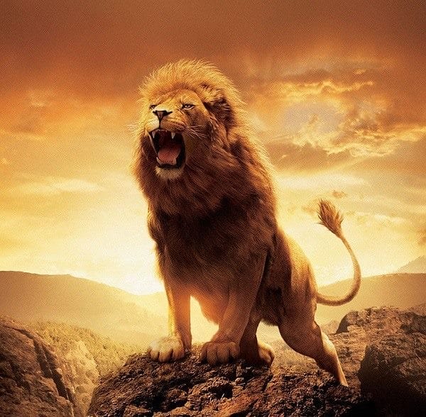 Картинки льва на аву (100 фото) #17