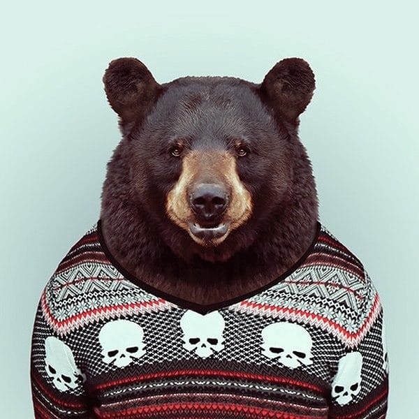 Картинки медведя на аву (100 фото) #12