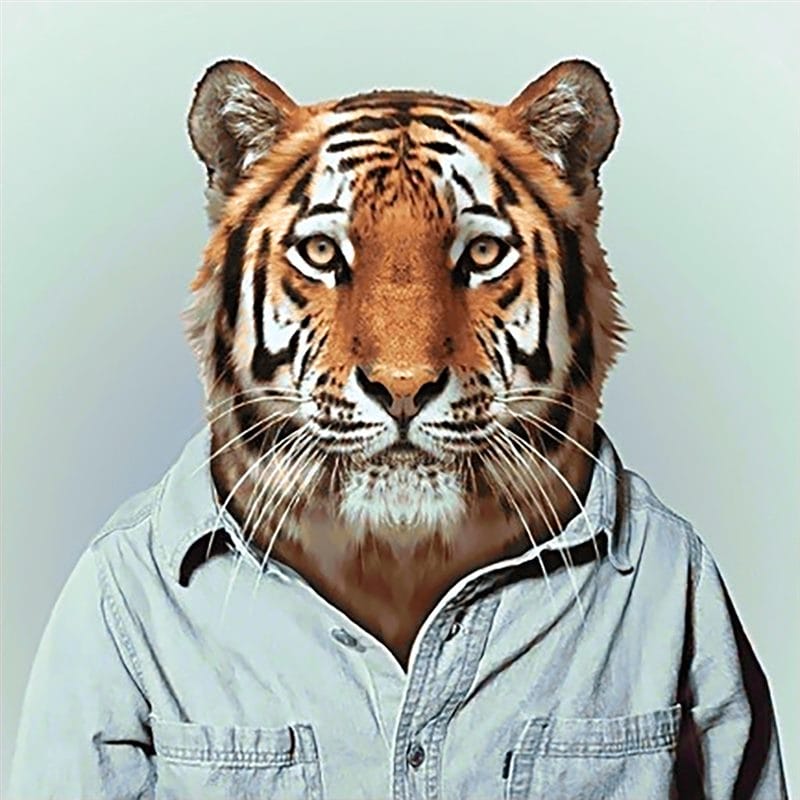 Картинки тигра на аву (100 фото) #27