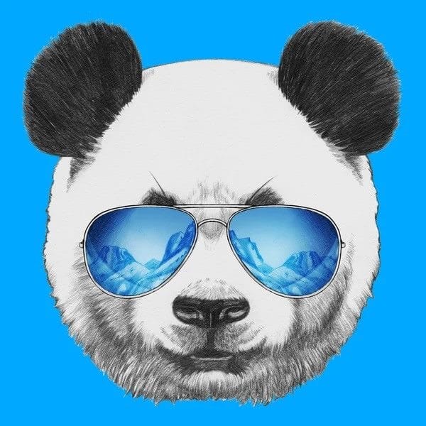Картинки панды на аву (100 фото) #10
