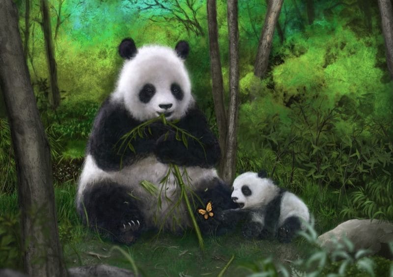Картинки панды на аву (100 фото) #72