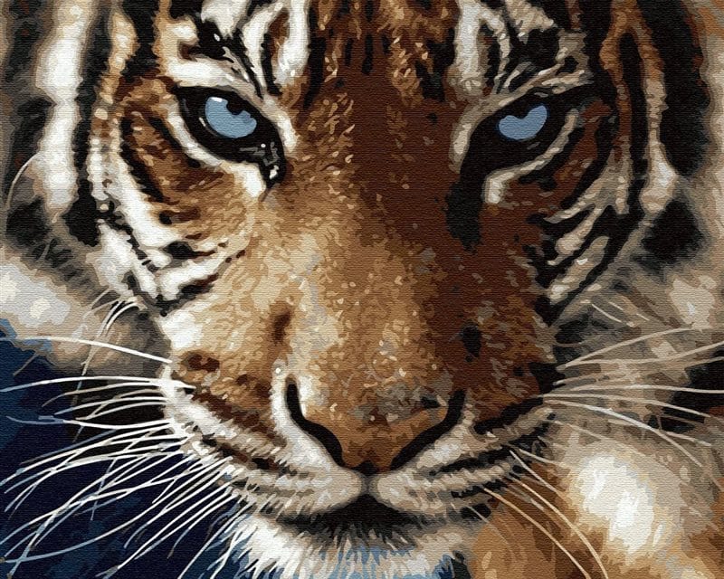 Картинки тигра на аву (100 фото) #58