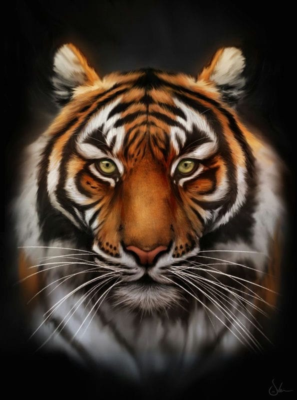 Картинки тигра на аву (100 фото) #97