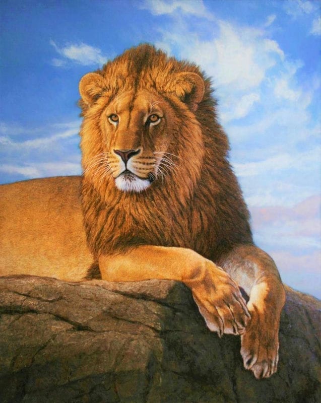 Картинки льва на аву (100 фото) #77