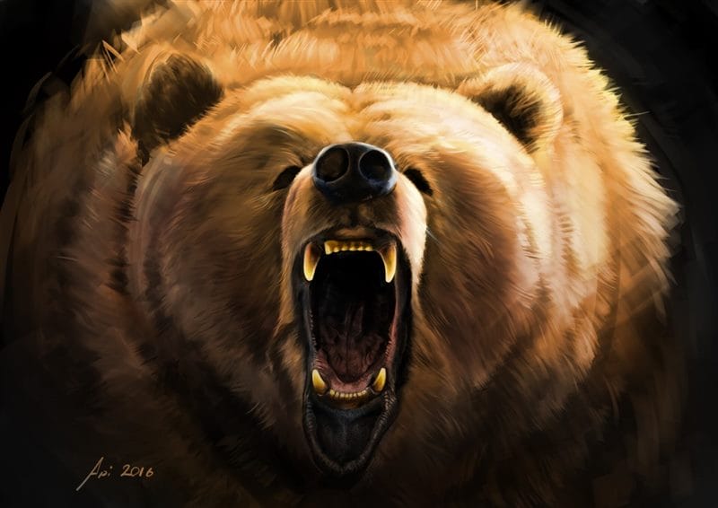 Картинки медведя на аву (100 фото) #71