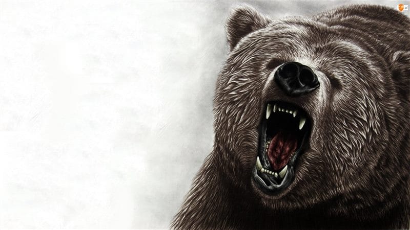 Картинки медведя на аву (100 фото) #80