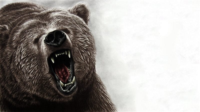Картинки медведя на аву (100 фото) #82
