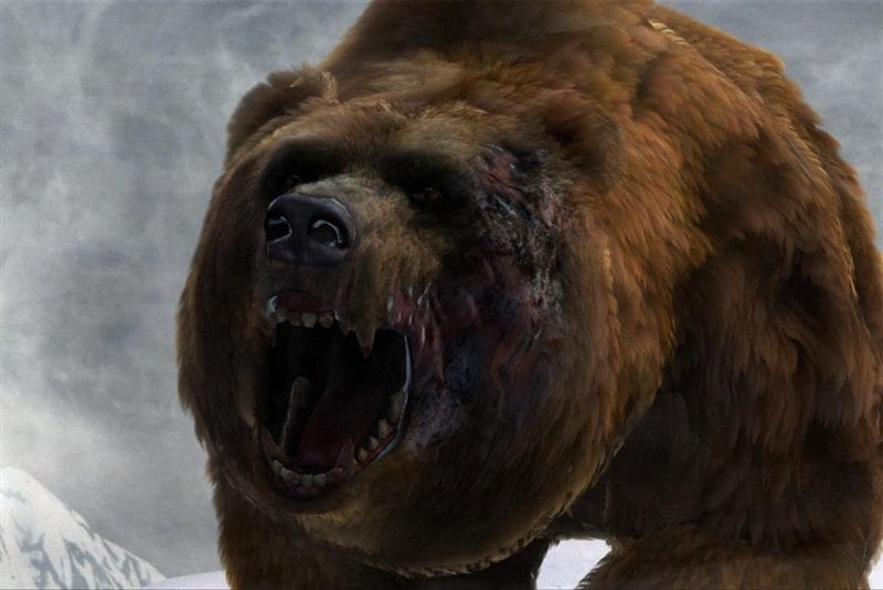 Картинки медведя на аву (100 фото) #70