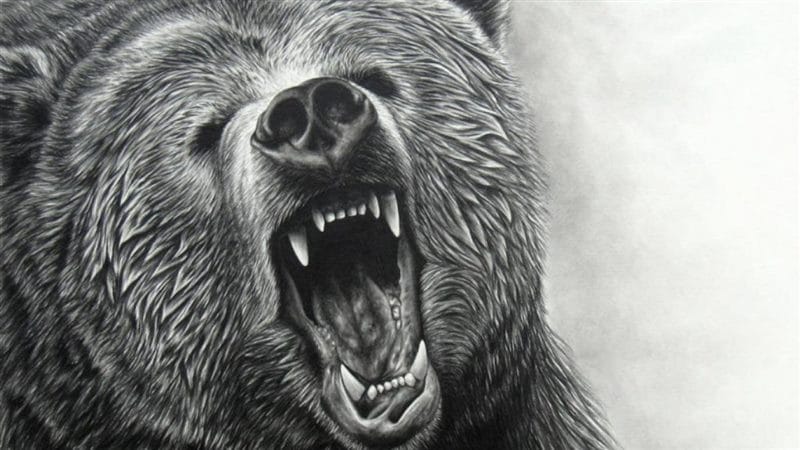 Картинки медведя на аву (100 фото) #86