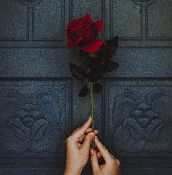 Картинки розы на аву (100 фото) #40