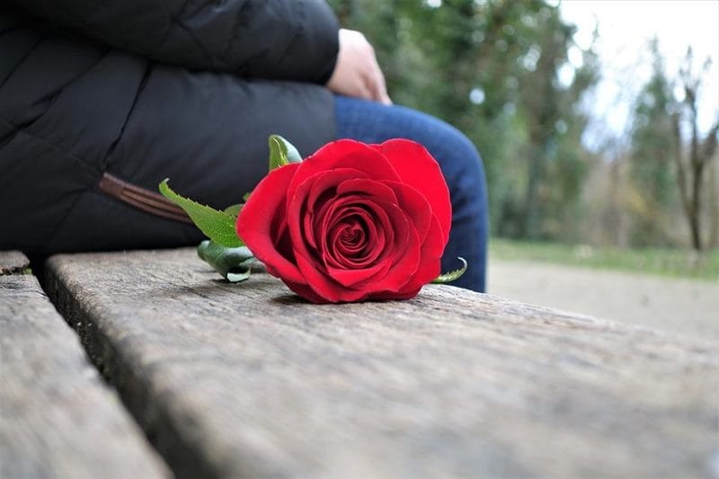 Картинки розы на аву (100 фото) #25